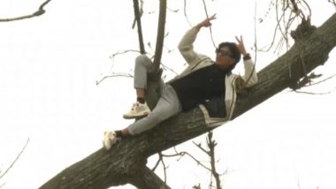 Fan Watches Nepal vs Namibia ODI Cricket Match by Climbing on Tree Branch, Videos Go Viral!
